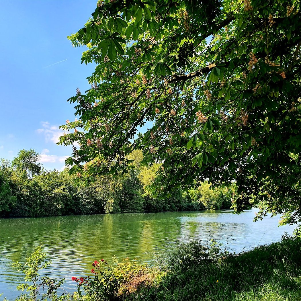 Parc des Bords de Seine 5
