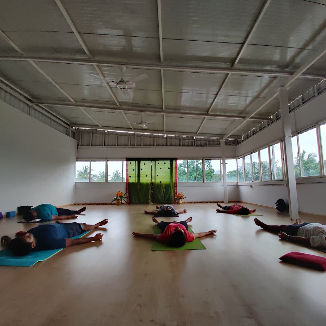 Aerial Yoga Experience for Beginners 3