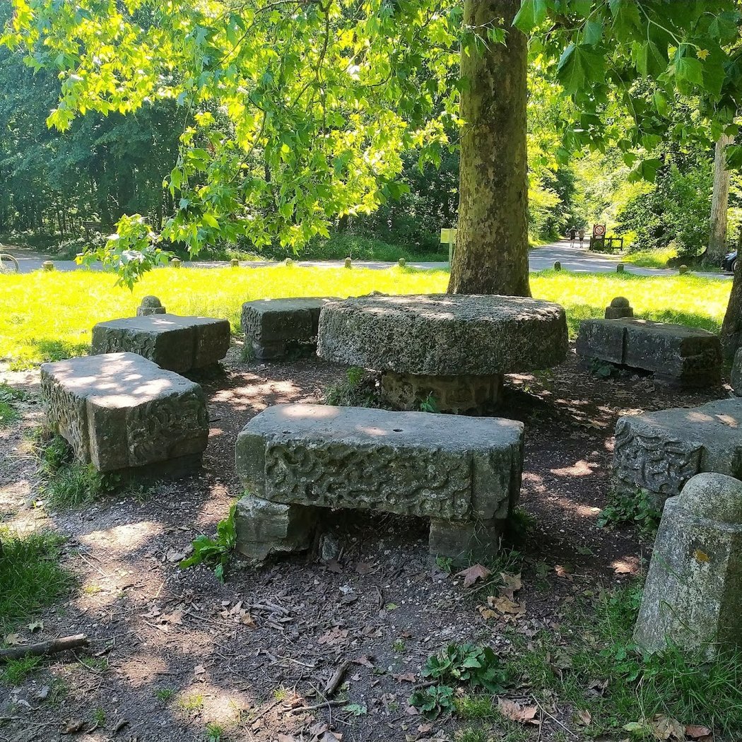 Forêt domaniale de Verrières 4