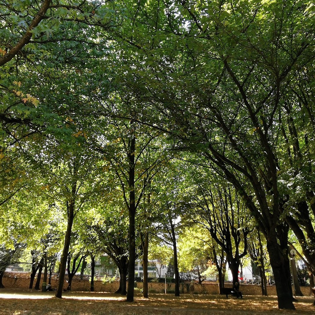 Parc Sainte Barbe 1
