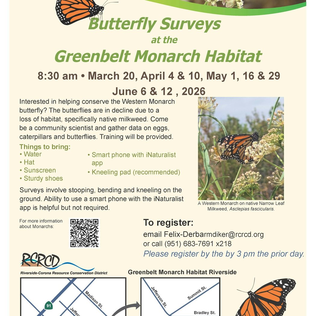 Monarch Survey 1