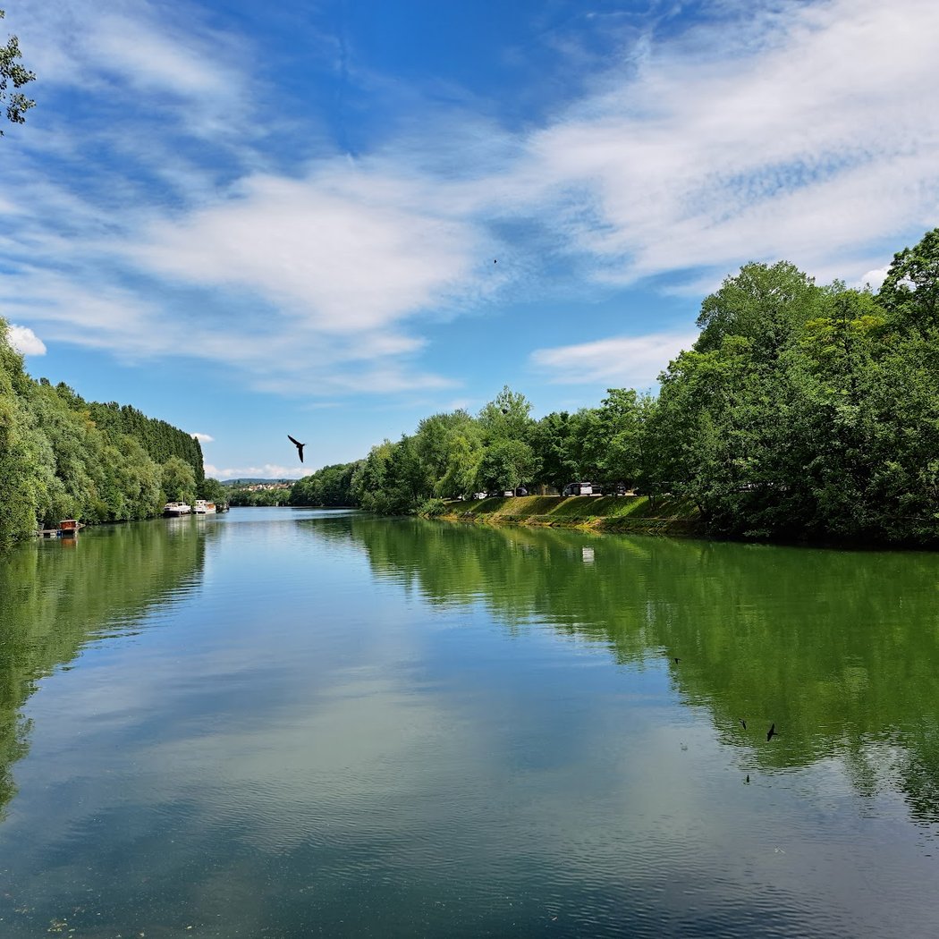 Rendez-vous aux Jardins 2025 1