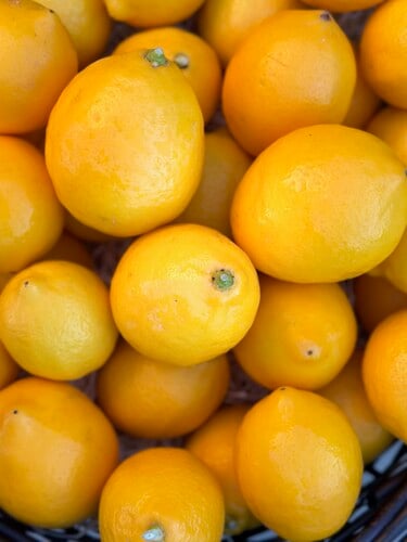 Preserved Lemons & Candied Mandarin-Kumquats with Merrilee Olson 1