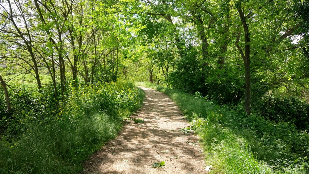 California Woods Nature Preserve 1