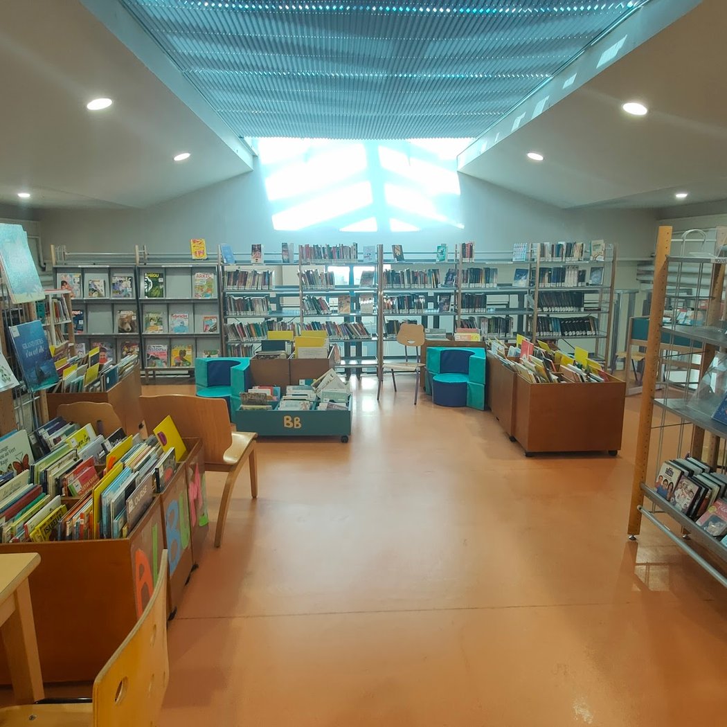 Library Cinq-Avenues 3