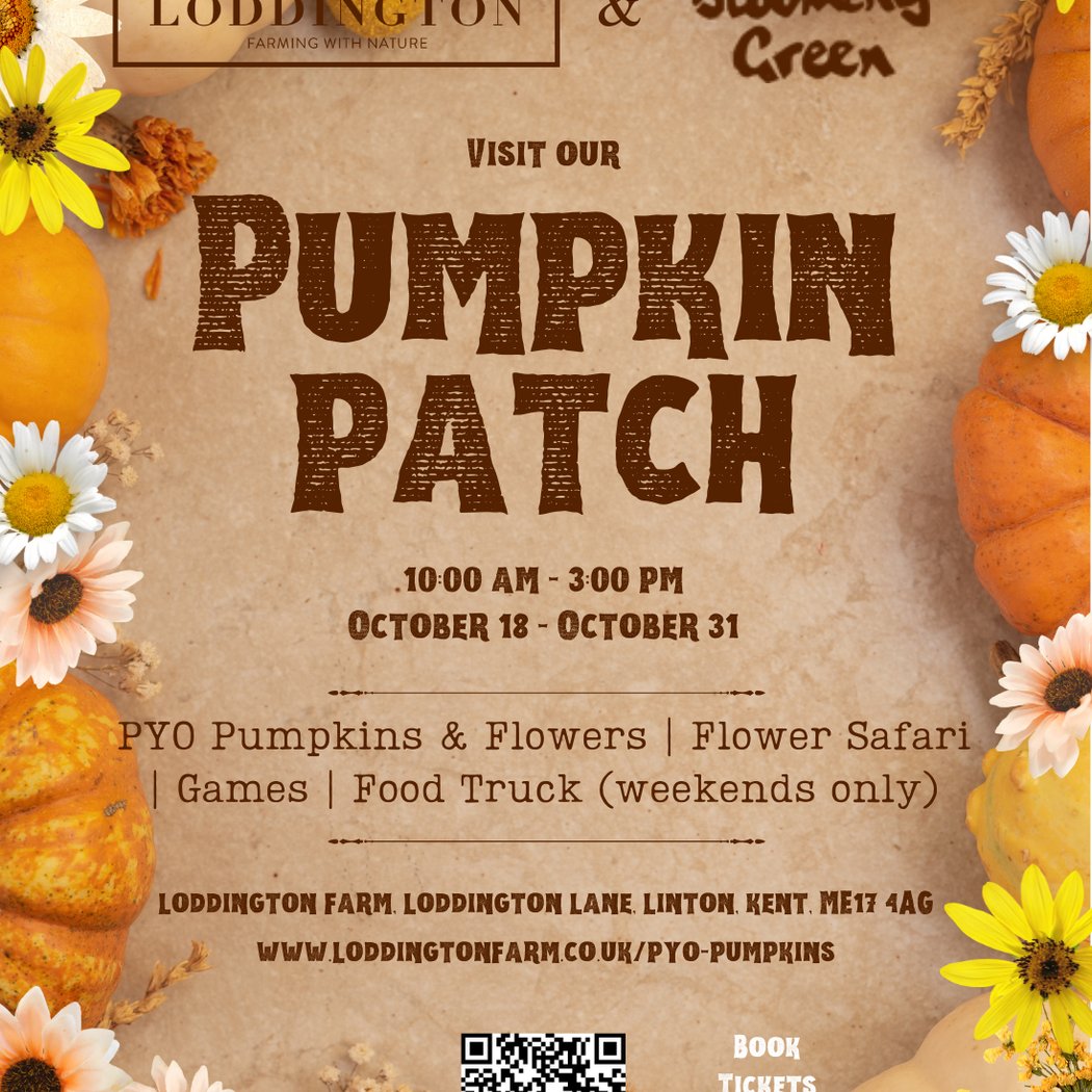 Loddington Pumpkin Patch 1