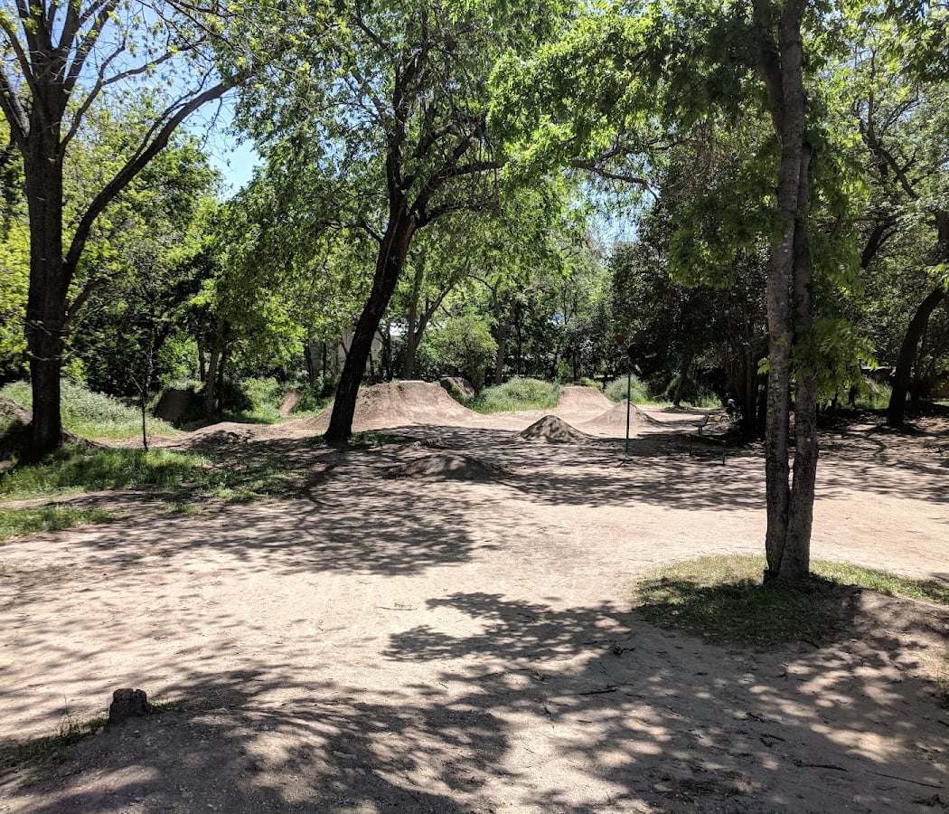 June Volunteer Cleanup 3