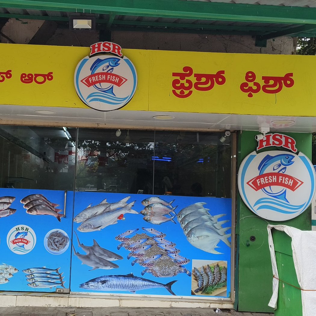 HSR Fresh Fish 3