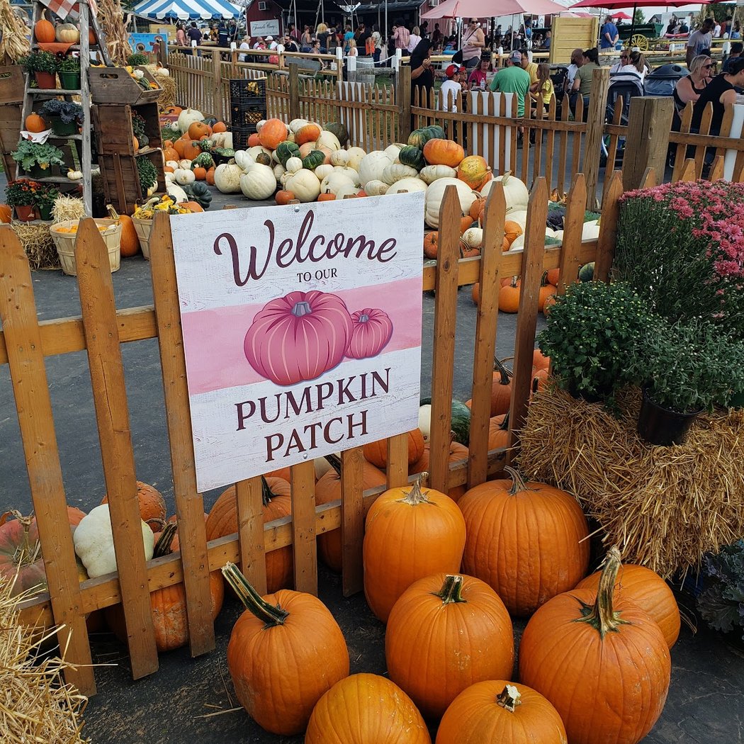 Alstede Farms 1