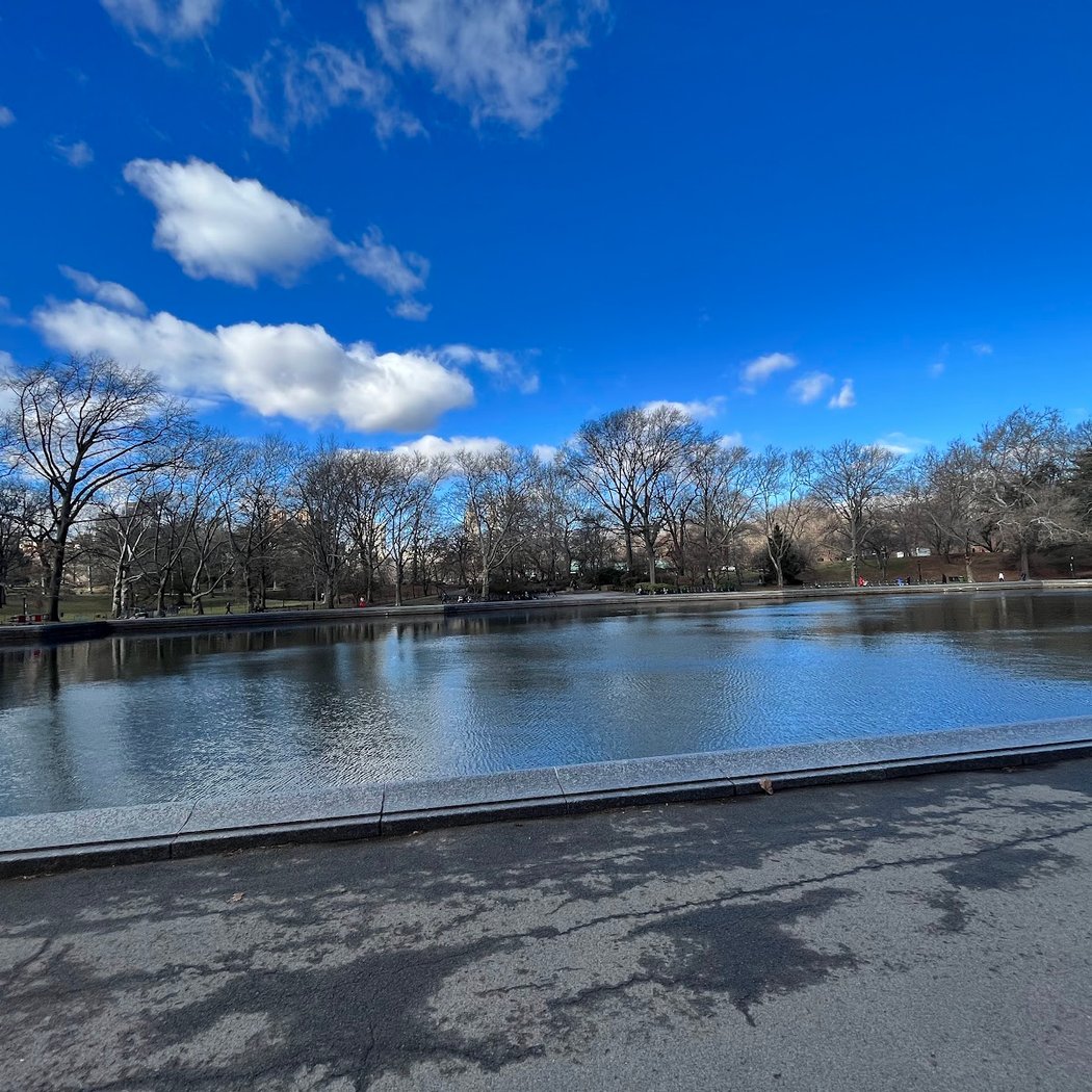 Sail Central Park- Model Boat Sailing 2