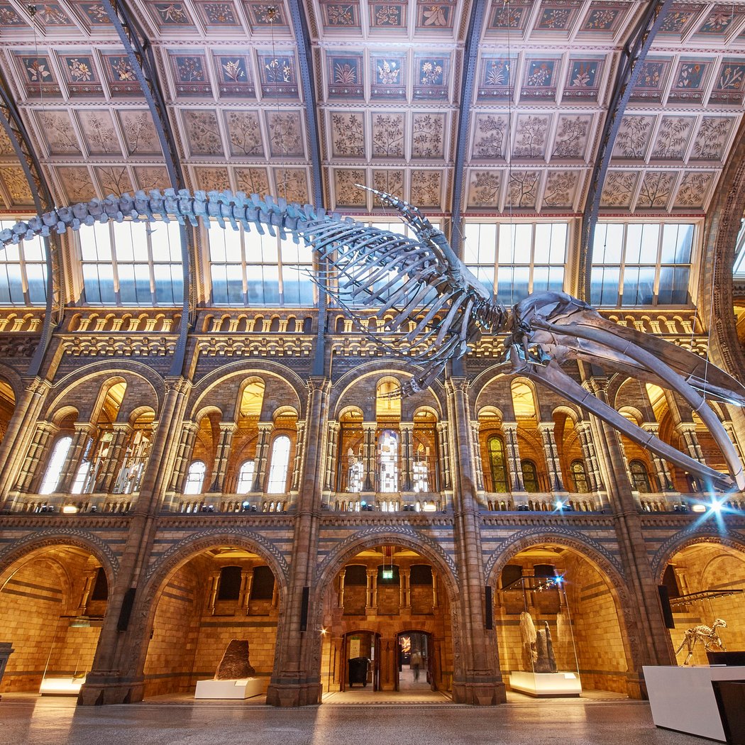 Natural History Museum 1
