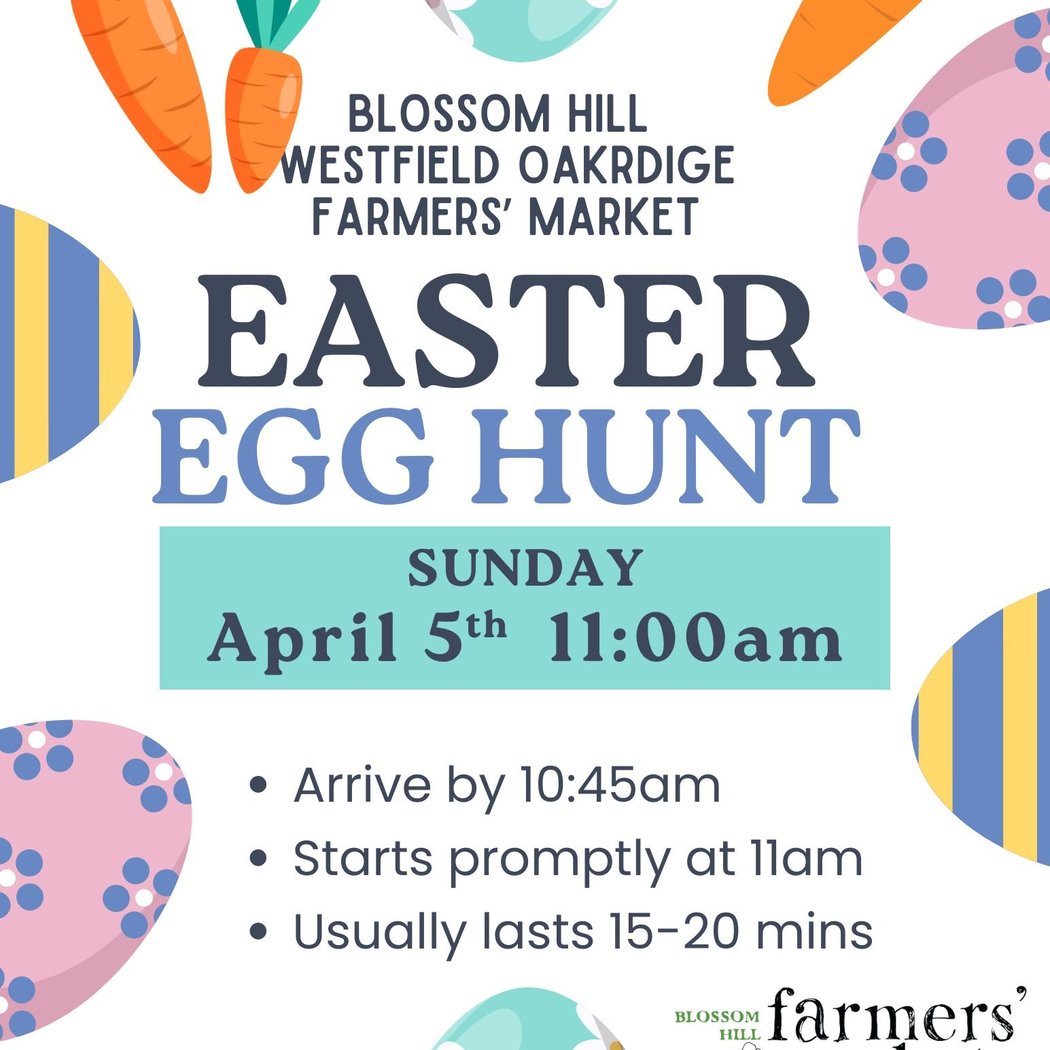 Kids Easter Egg Hunt 1