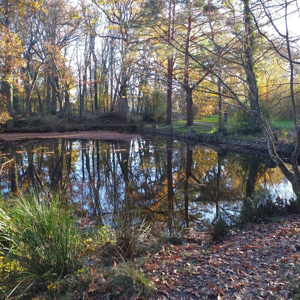 Park Cousinerie 1