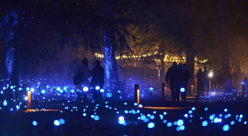 Light Cycles Paris 2