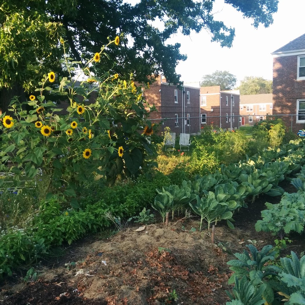 Project EATS Fairway Gardens 1