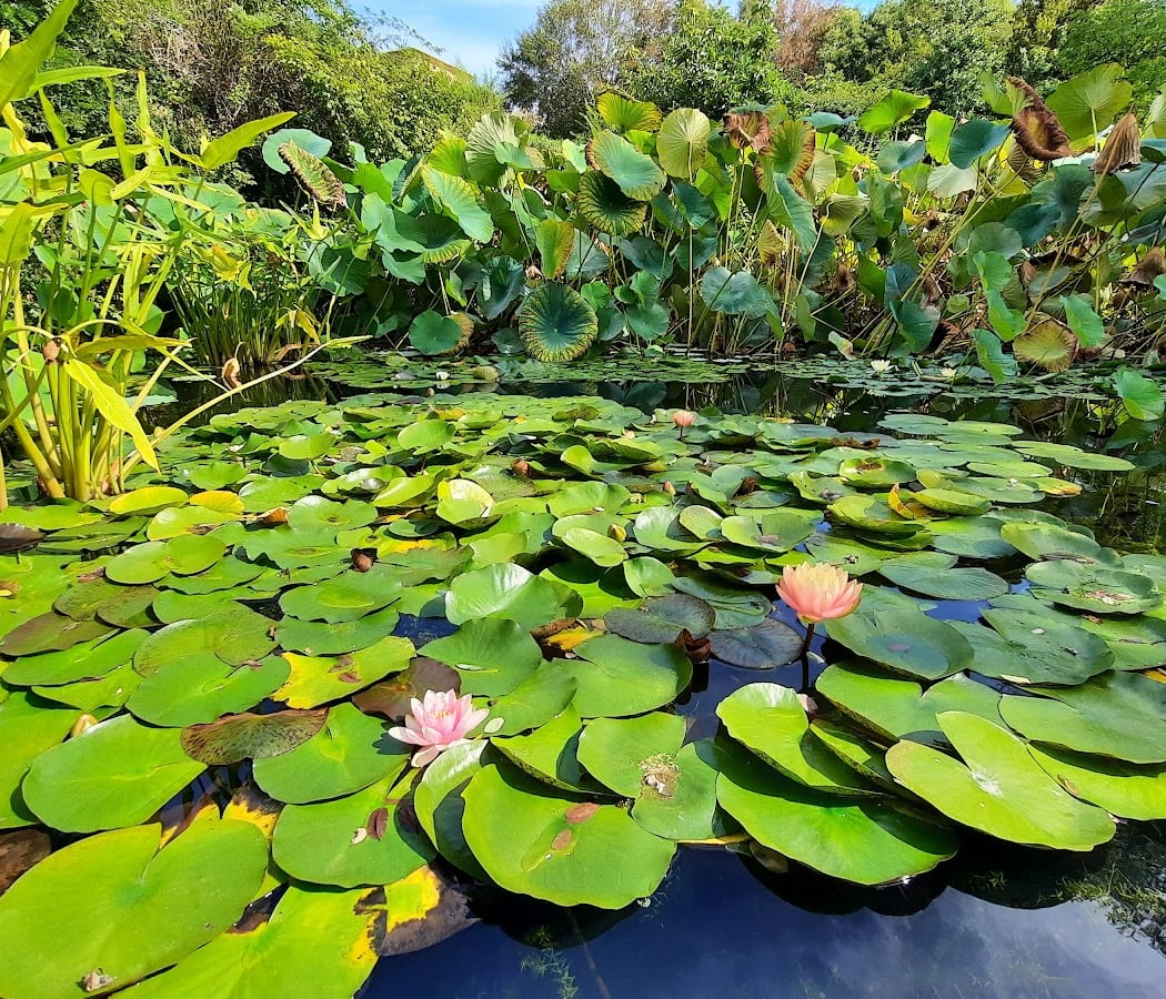 The Water Gardens of Carsac 3