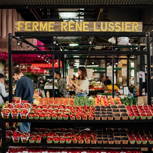 Marché Jean-Talon Activities 1