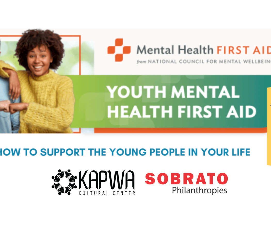 Mental Health First Aid Online Certification Course 1
