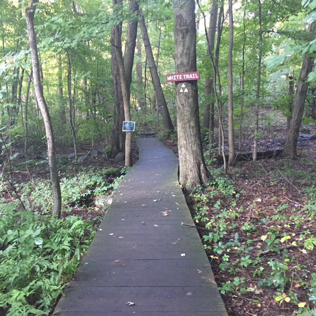 Tenafly Nature Center 3