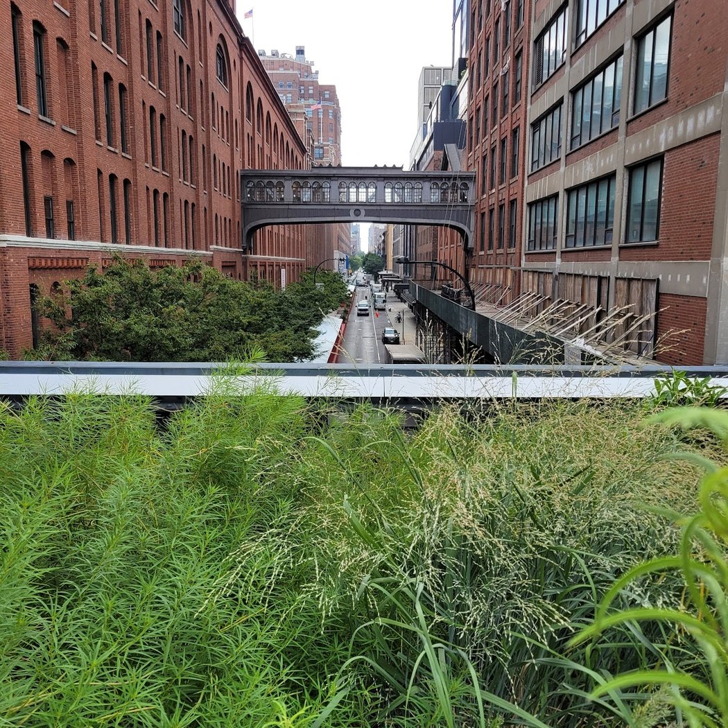 Northern Spur Preserve - High Line 2
