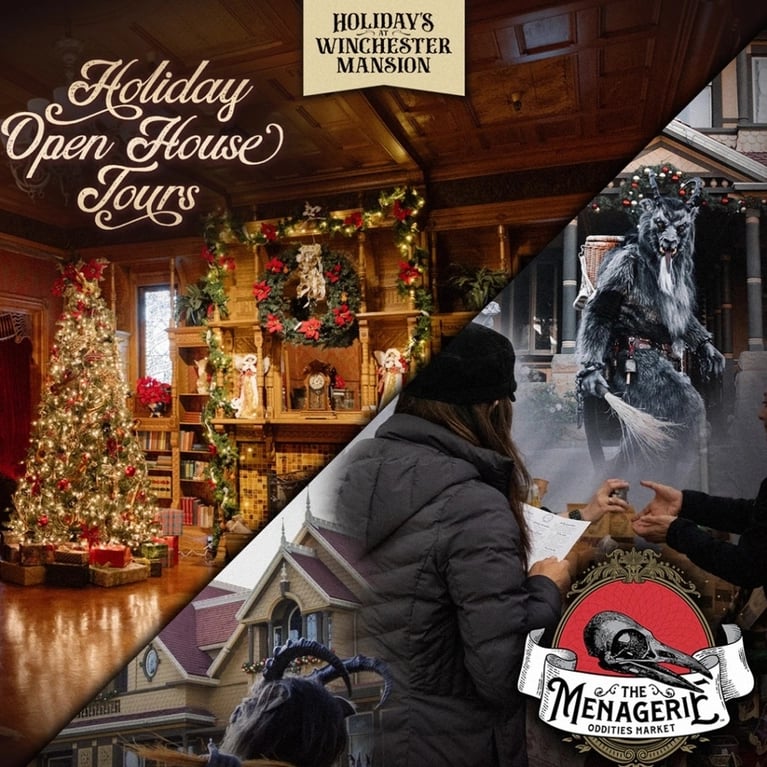 The Menagerie Oddities Market 1