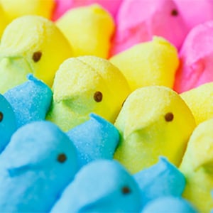 Easter Eggstravaganza 1