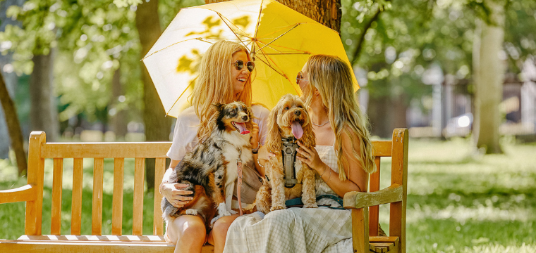Dog Days Weekend 1