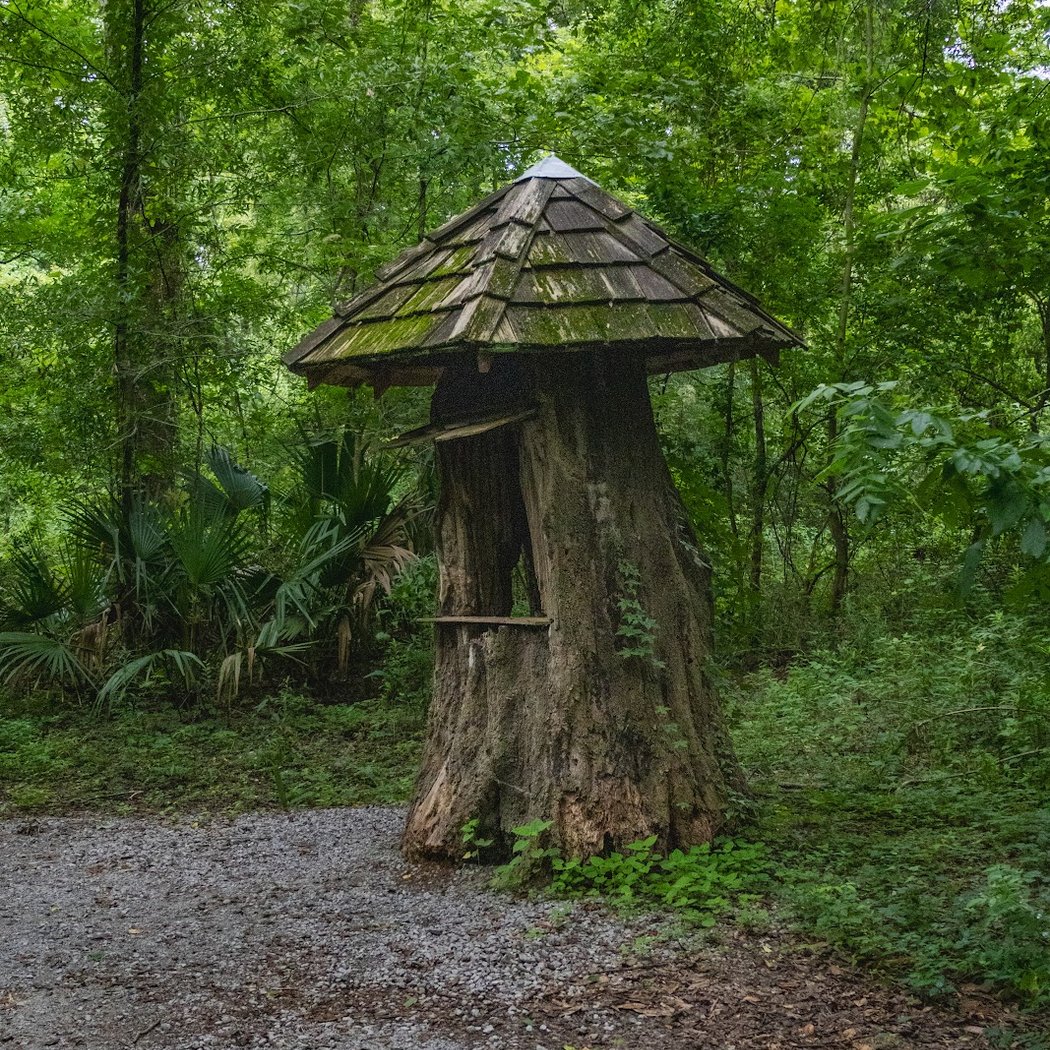 LSU AgCenter Botanic Gardens 3