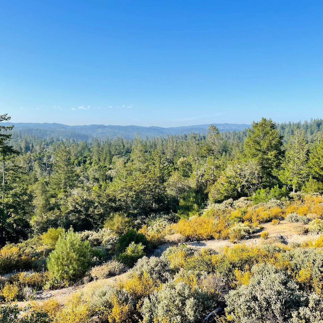 1st Day Sandhills Hike 1