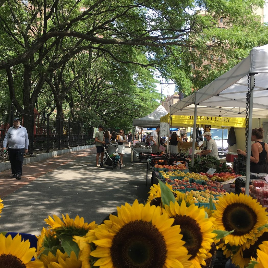 Tribeca Greenmarket 1