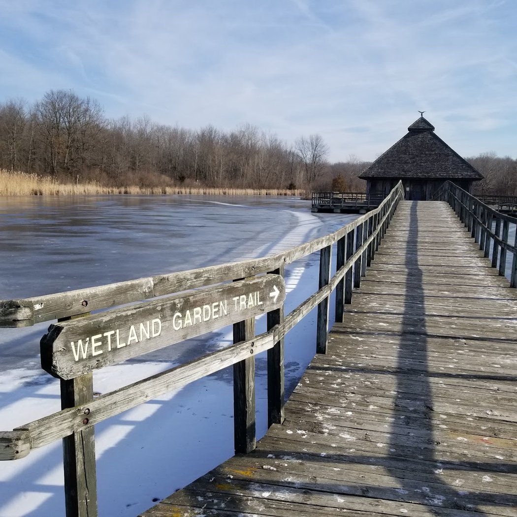 Spring nature hike 2