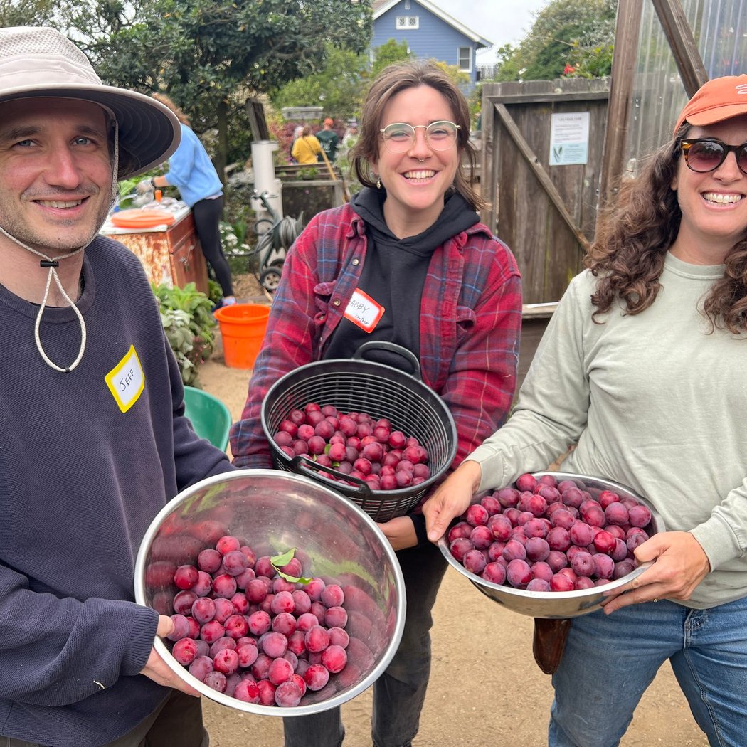2nd Saturday at Nome Park Community Garden 2