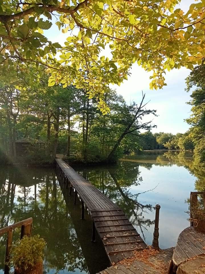 Étang de la Plaine 1