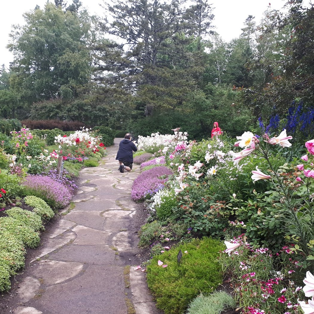Jardins de Métis / Reford Gardens 3
