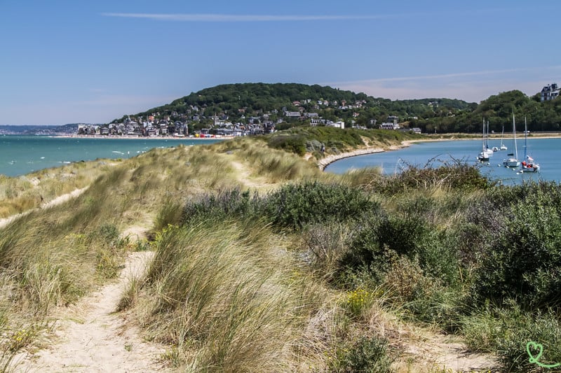Les dunes de Cabourg 2