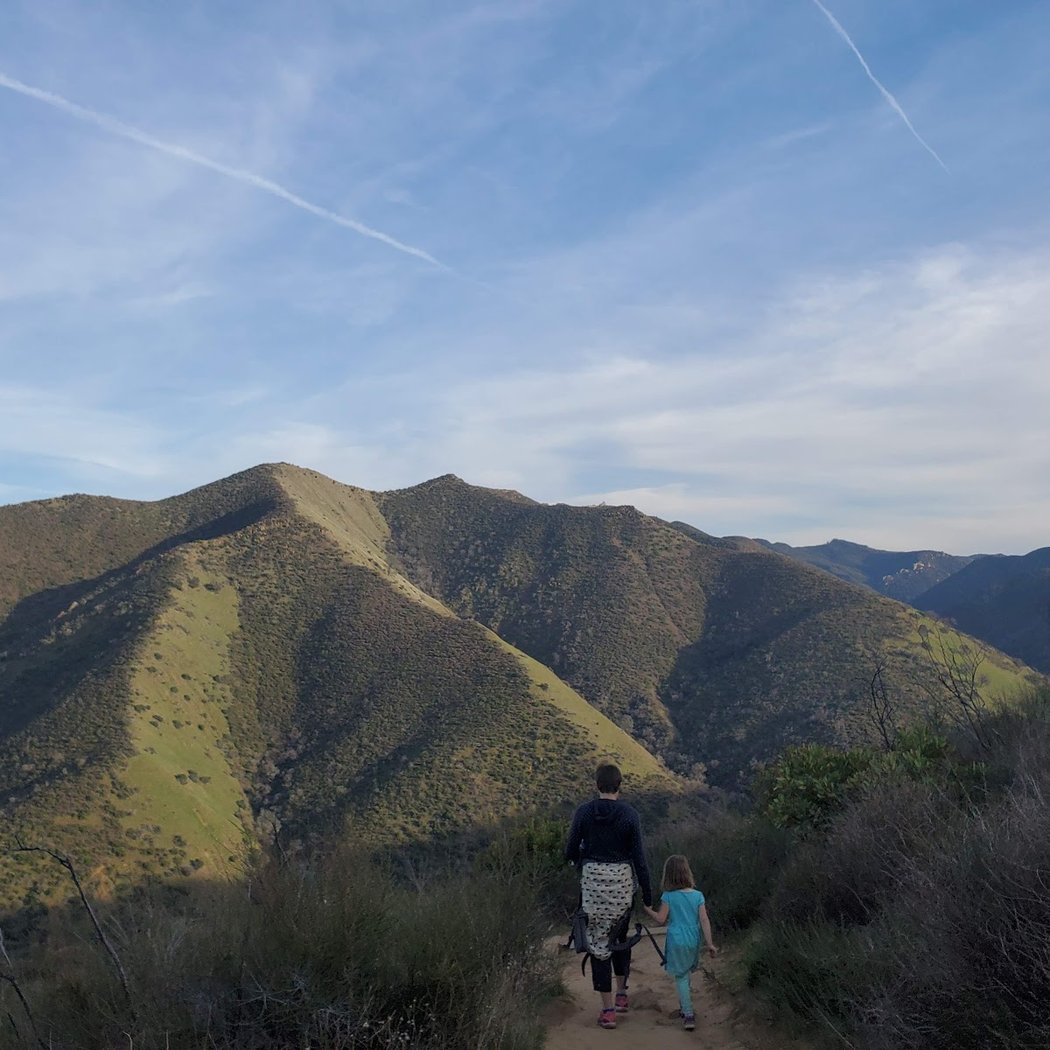 UC Davis - Stebbins Cold Canyon Natural Reserve 3