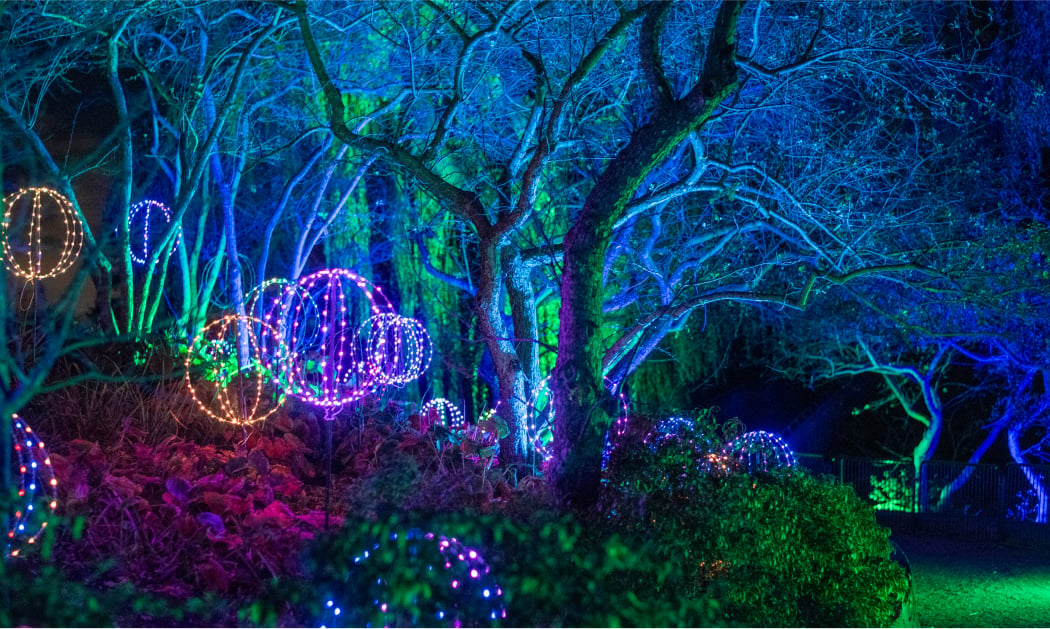 Lightscape at Brooklyn Botanic Garden 1