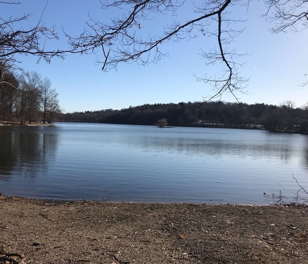 Jamaica Pond 2