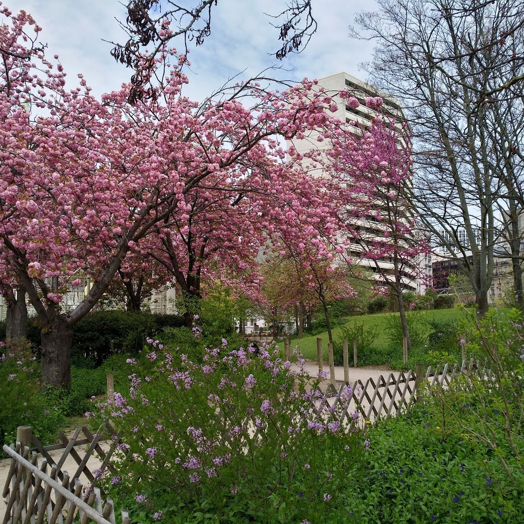 Pierre-Adrien Dalpayrat Garden 1