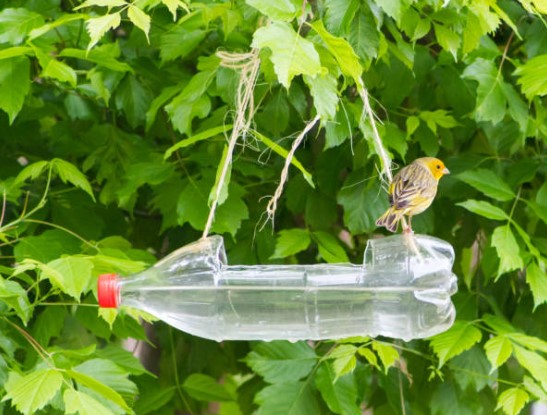 Kids Week: Build a Nature Birdfeeder 1