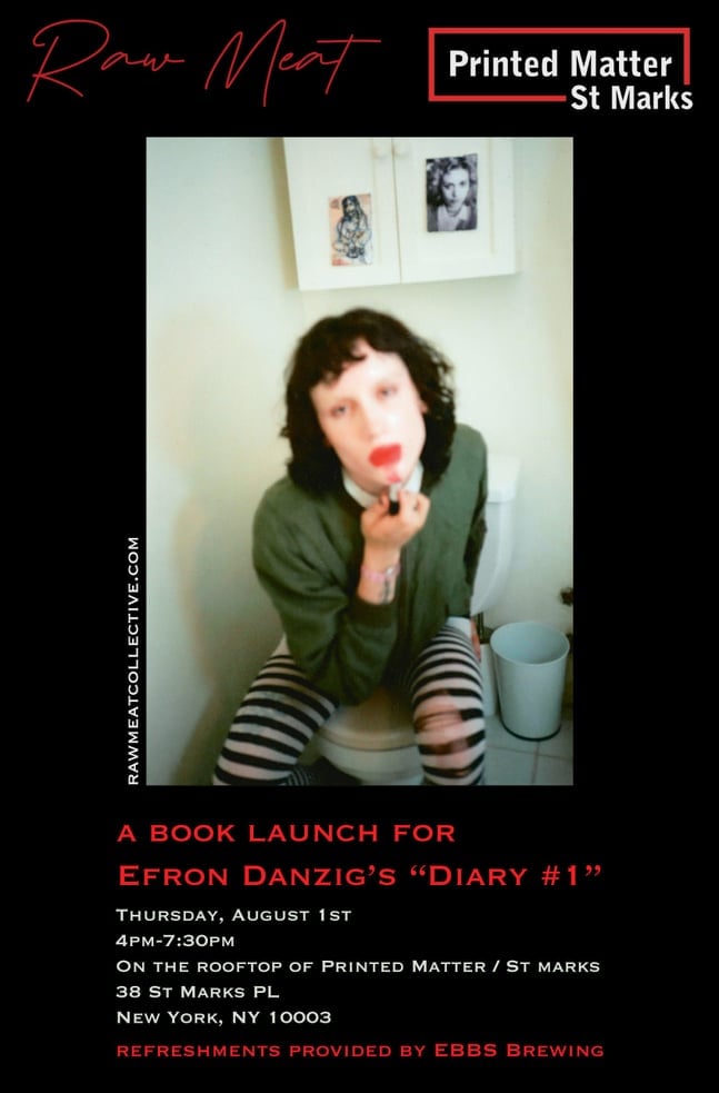 Diary #1 Book Launch with Raw Meat Publishing 1