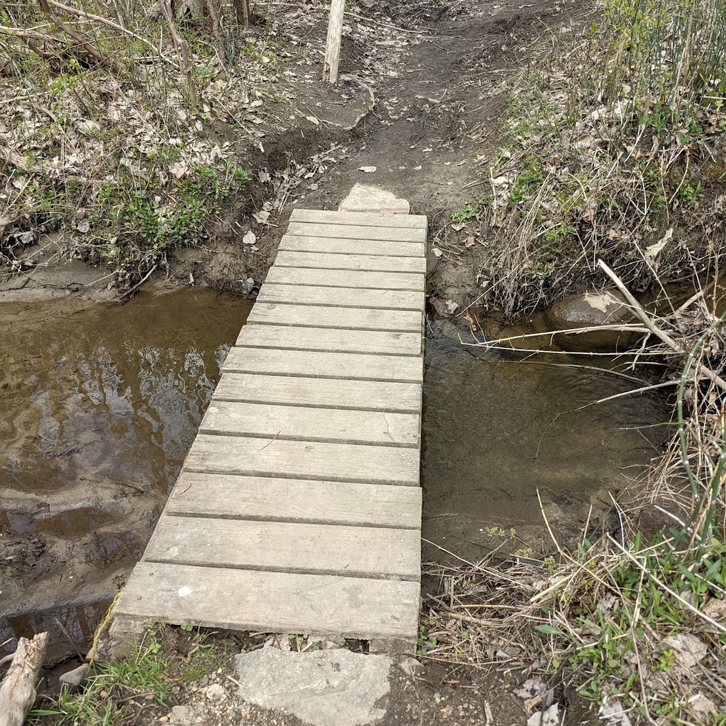 Traver Creek Nature Area 3