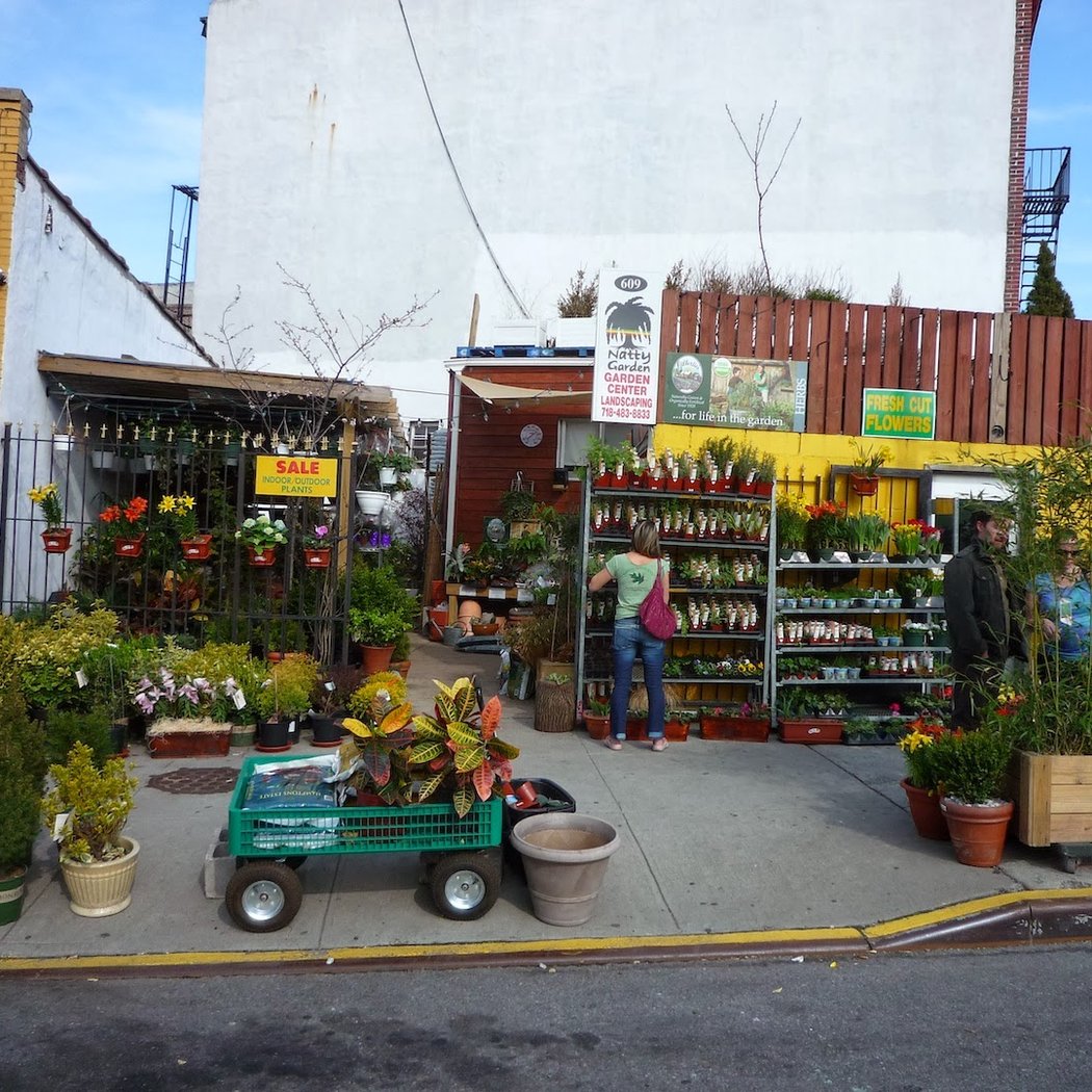 Natty Garden 2