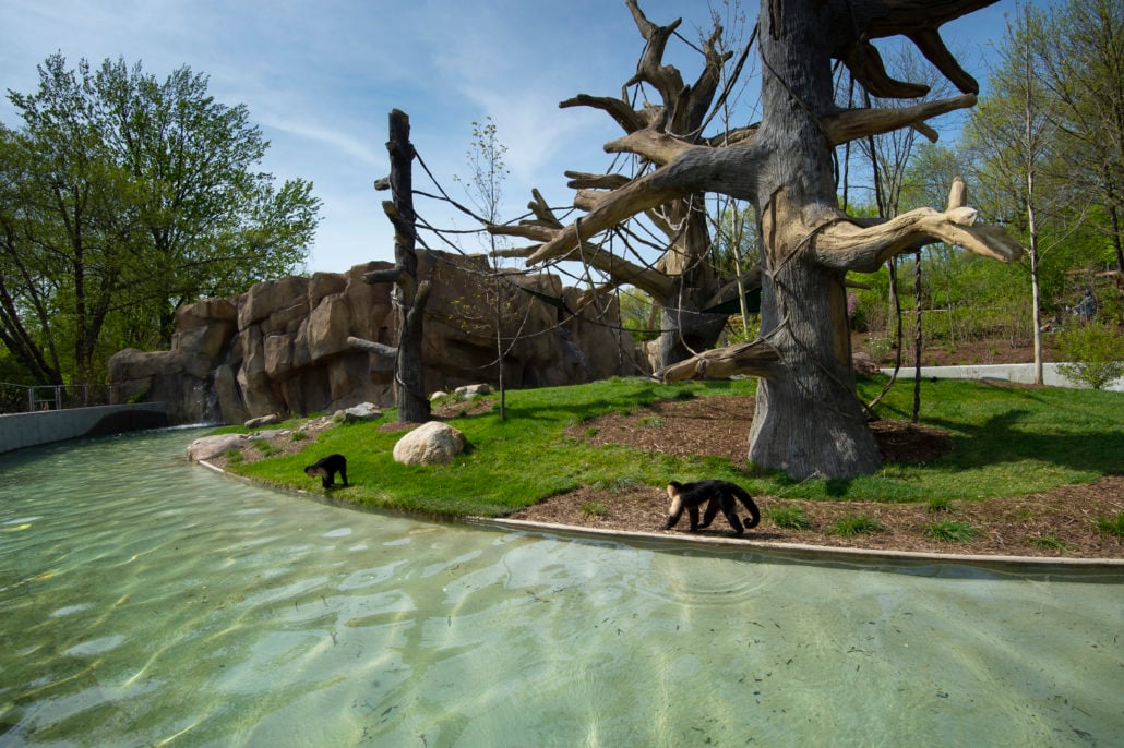 Fort Wayne Zoo 3