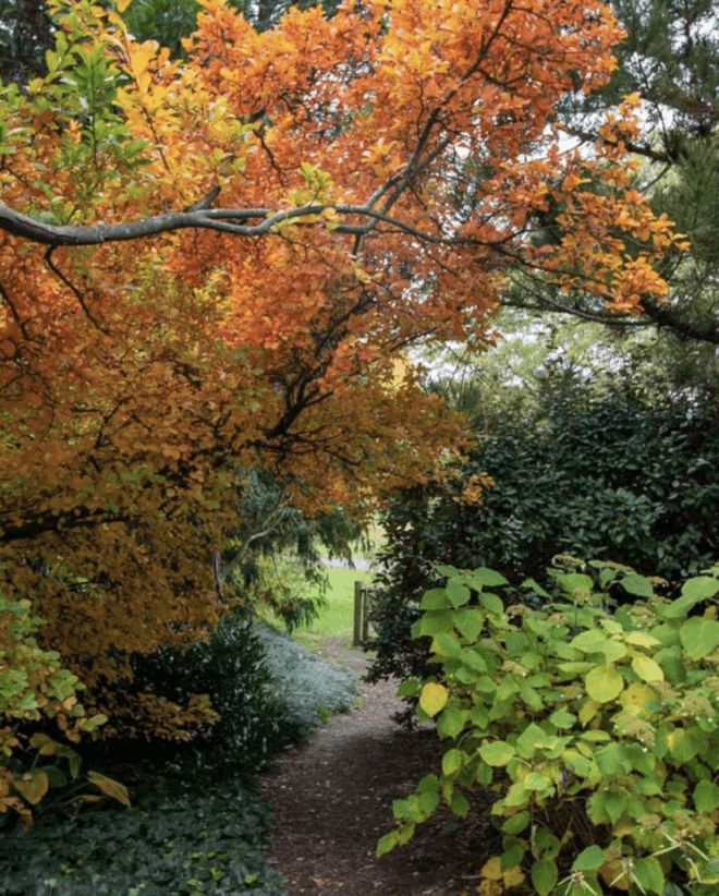 Garden Highlights Walk 3