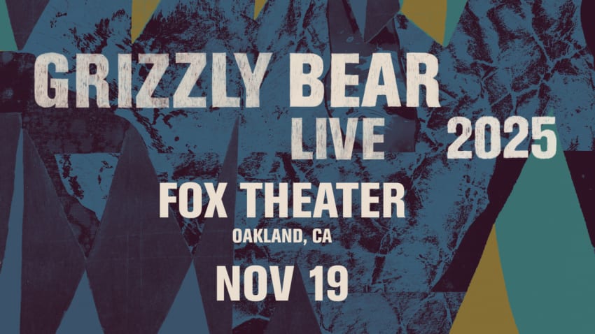 Grizzly Bear 1