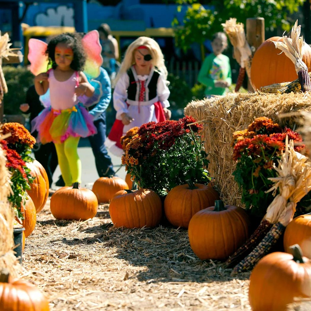 Tricks and Treats 3