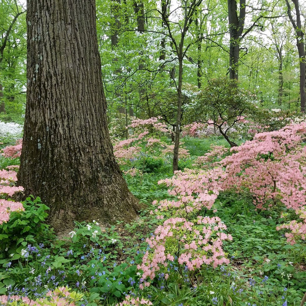 Winterthur 1