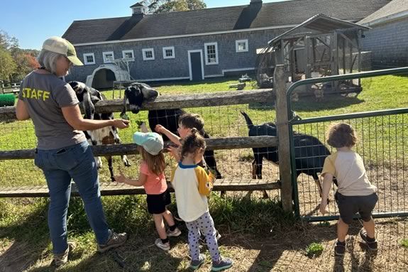 Barnyard Buddies 1