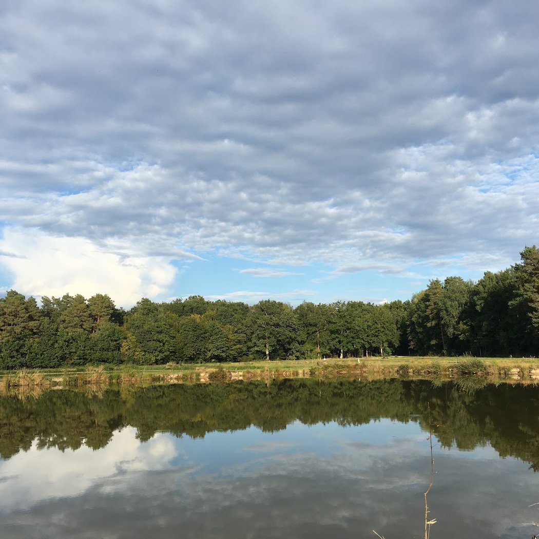 Lodge de l'Etang / Domaine de la Rotière 1